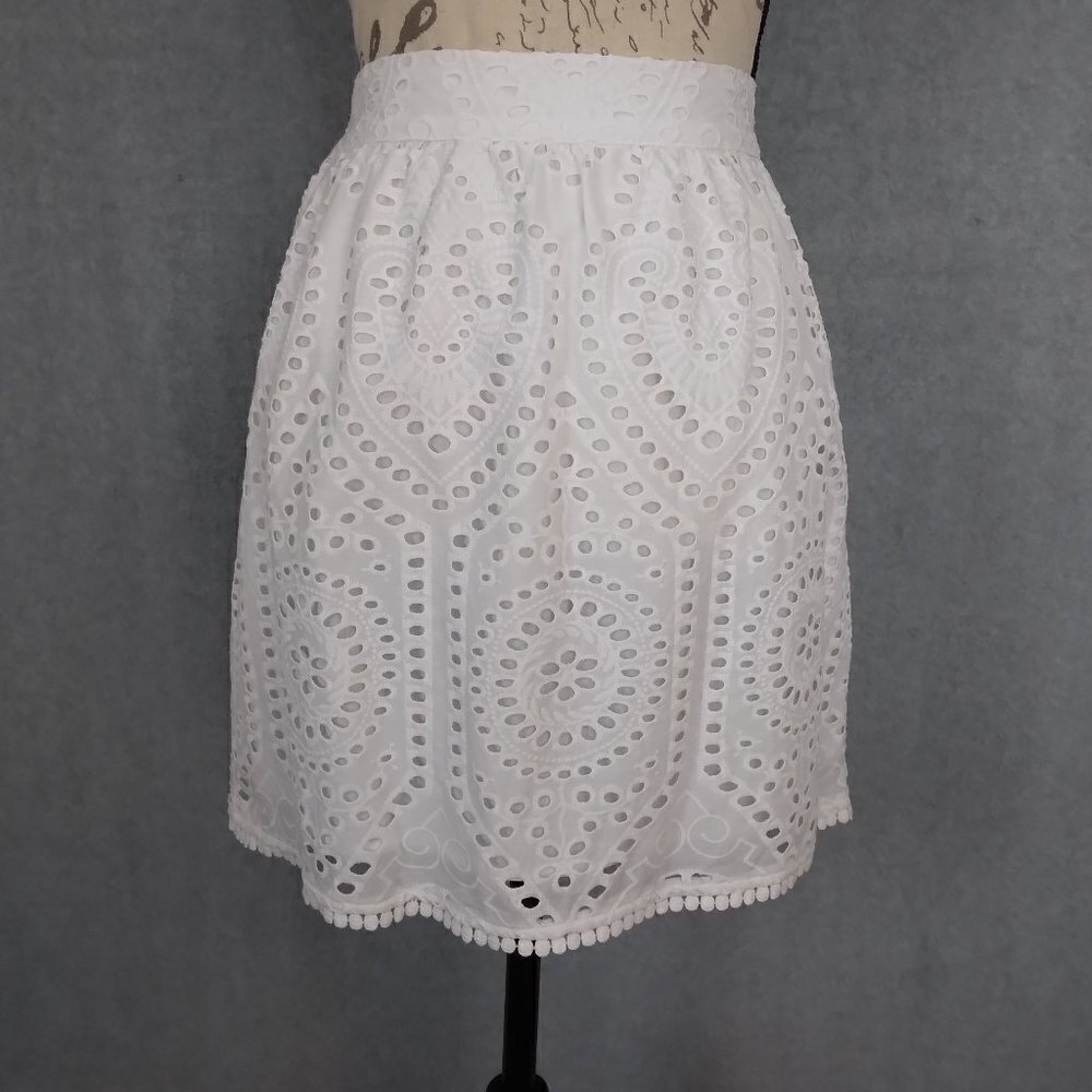 Rye Grass | NWT White Cotton Eyelet Lace Elastic Waist Skirt | Size 6 - Picture 2 of 10